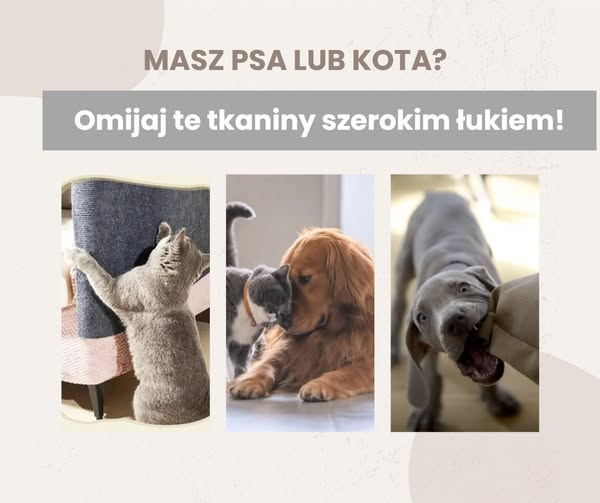 Masz psa lub kota? Omijaj te tkaniny szerokim łukiem!